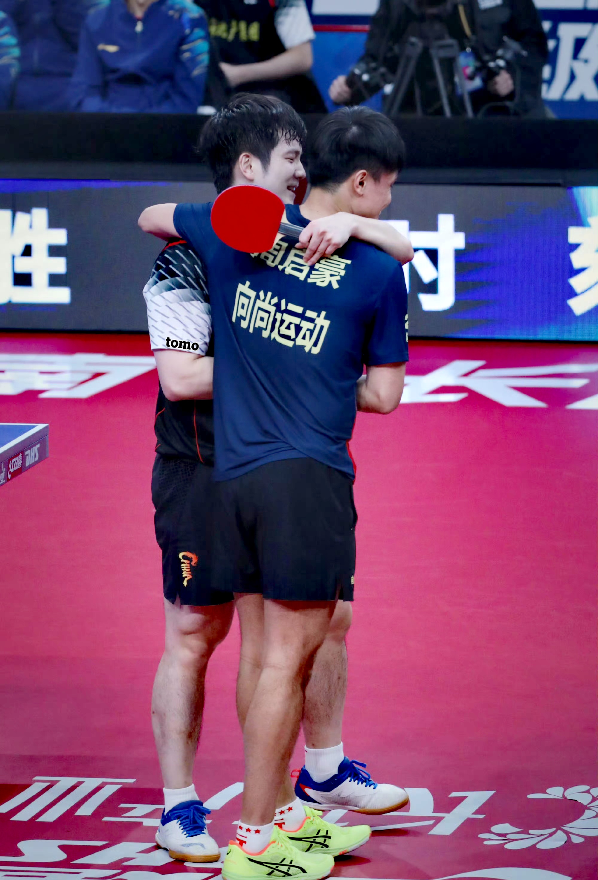 波兰队轻取英格兰队,樊振东统治全场 波兰队轻取英格兰队,樊振东统治全场