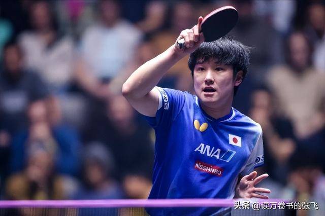 法国队横扫葡萄牙队，张本智和点燃赛场