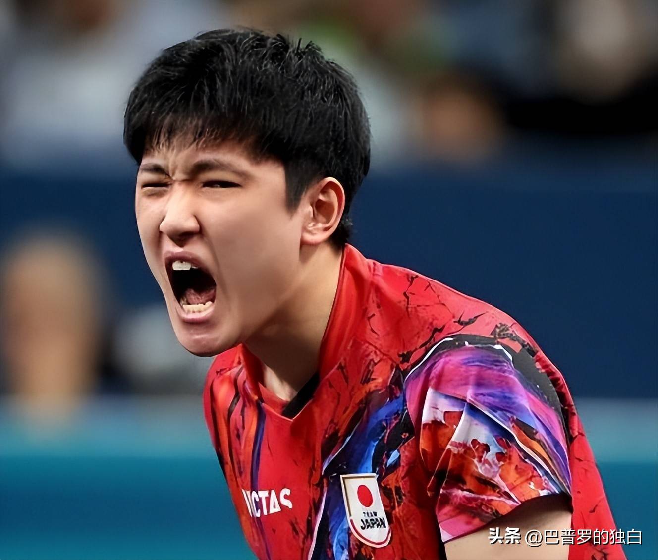 中国队翻盘葡萄牙队,张本智和关键制胜 中国队翻盘葡萄牙队,张本智和关键制胜