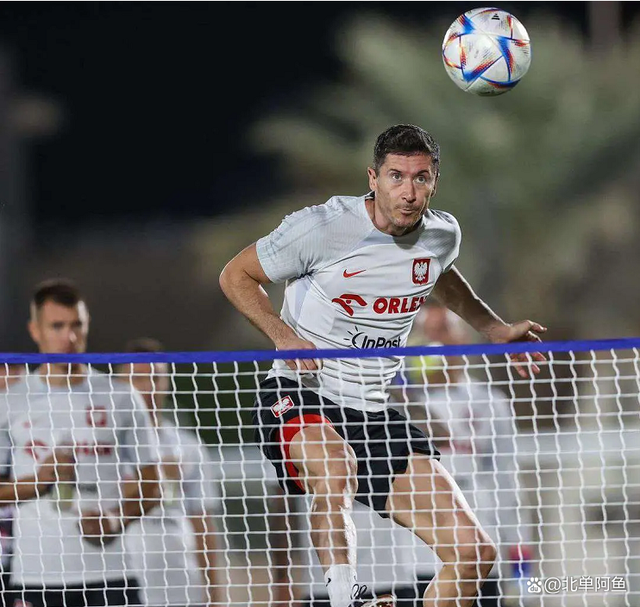 波兰队轻取奥地利队,奥恰洛夫点燃赛场 波兰队轻取奥地利队,奥恰洛夫点燃赛场