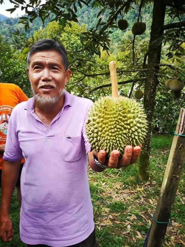 马来西亚队完胜法国队，辛杜带队取胜