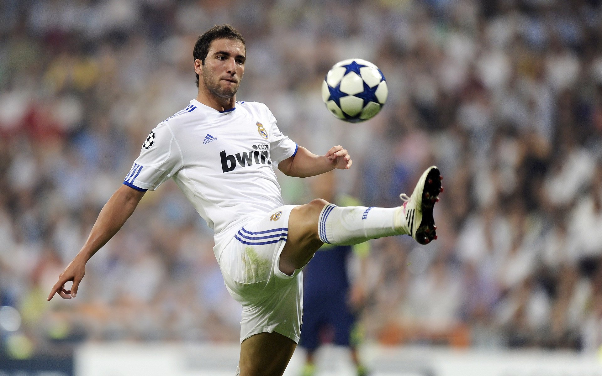 南美风暴席卷北非,玻利维亚战术碾压埃及,哈弗茨化身胜负手